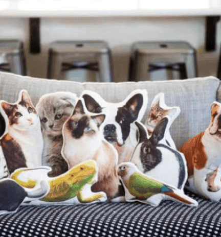 Fantastic Gifts For Pet Owners 2024