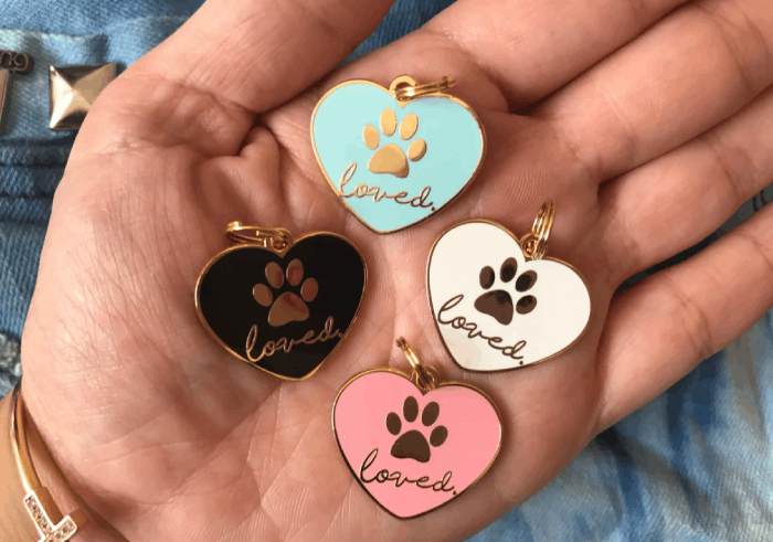 Awesome Gifts for Pet