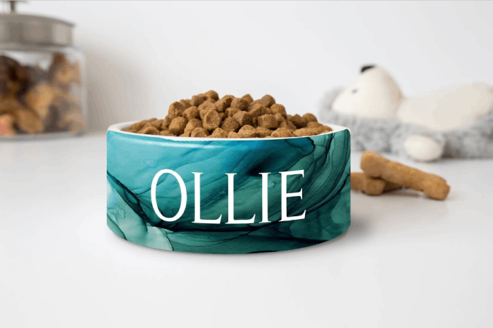 Gifts for New Pet Owners