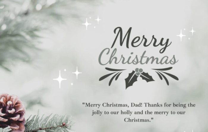 Heartwarming Xmas Messages For Dad to Express Your Gratitude