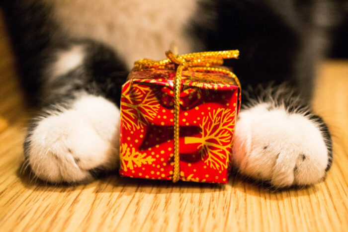 cat gifts for women