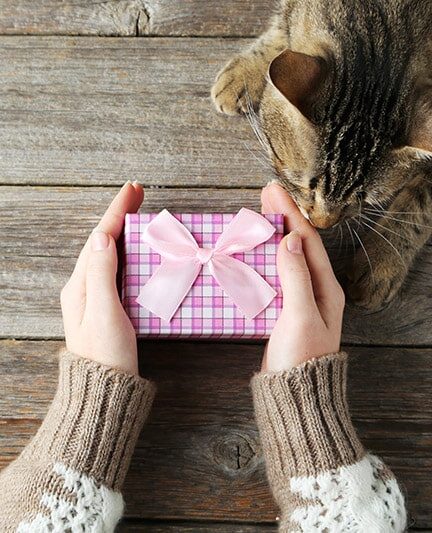 cat gifts for women