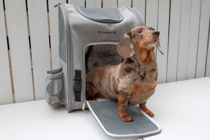 Backpacks and Outdoor Bags for Dogs