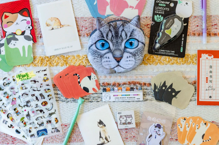 Cat-themed Stationery Subscription Box