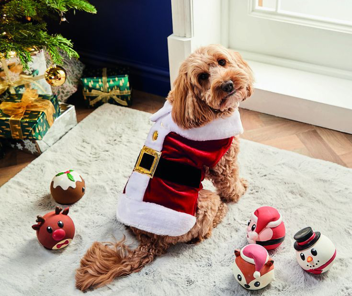 Christmas Coat for Dogs