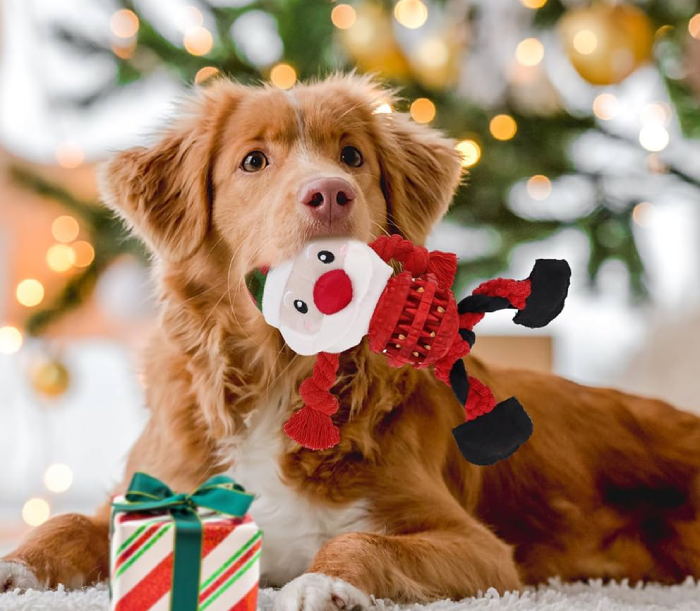 Dog Christmas Present Ideas - Interactive and Novelty Toys