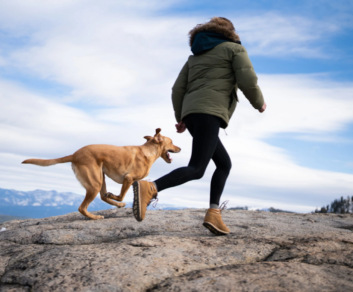 Outdoor Adventures for Dog Mum