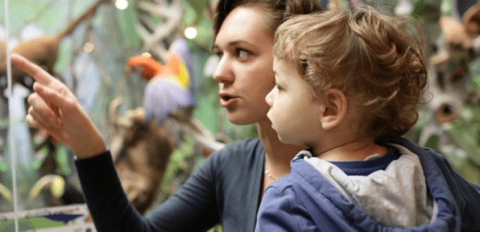 Gentle Animal Encounters - Rewarding Experience For Toddlers