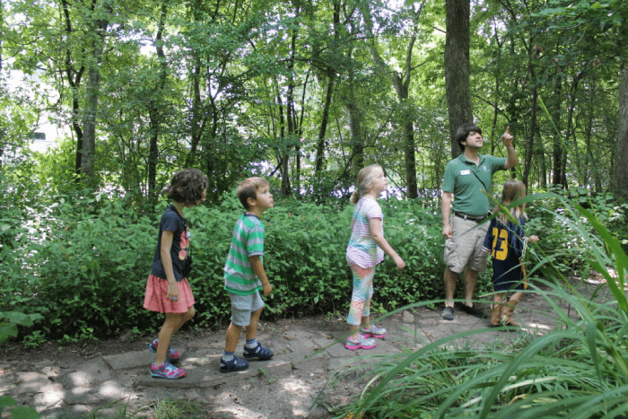 Choose Nature Discovery Programs For Your Preschoolers