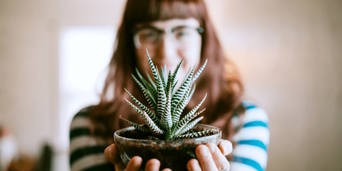 Indoor Plants - Perfect Graduation Gift For A Daughter