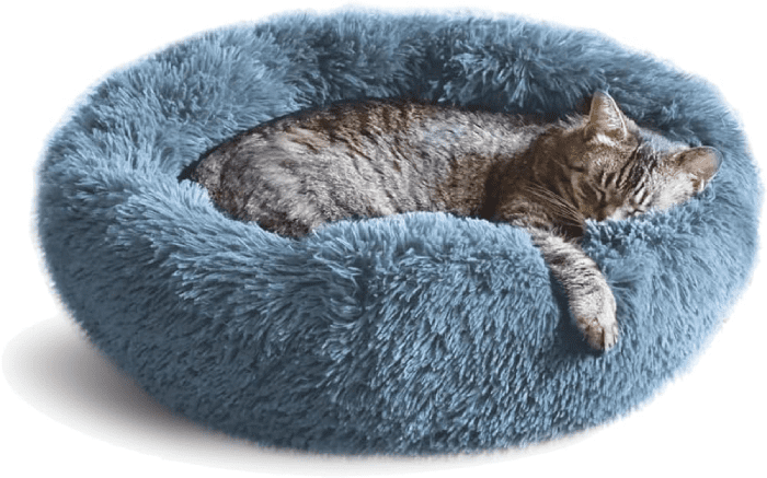 Cat Bed - One Of Gift Ideas For Cat Lovers That Are Needed