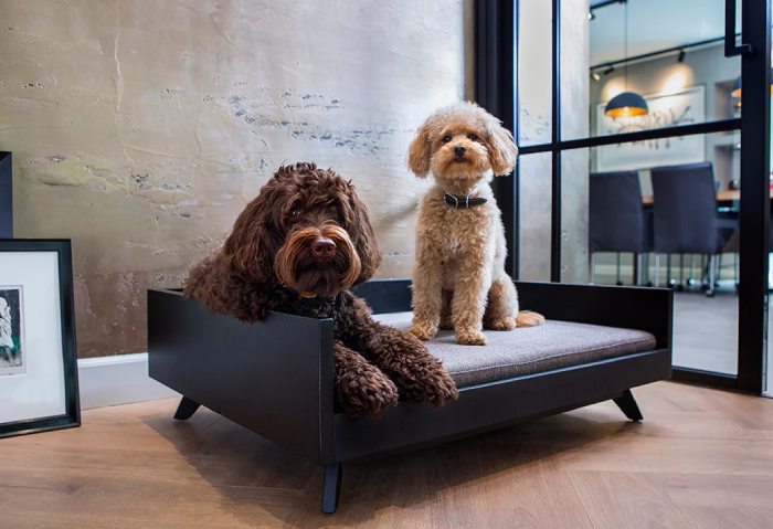 Designer Dog Bed for Birthday Presents