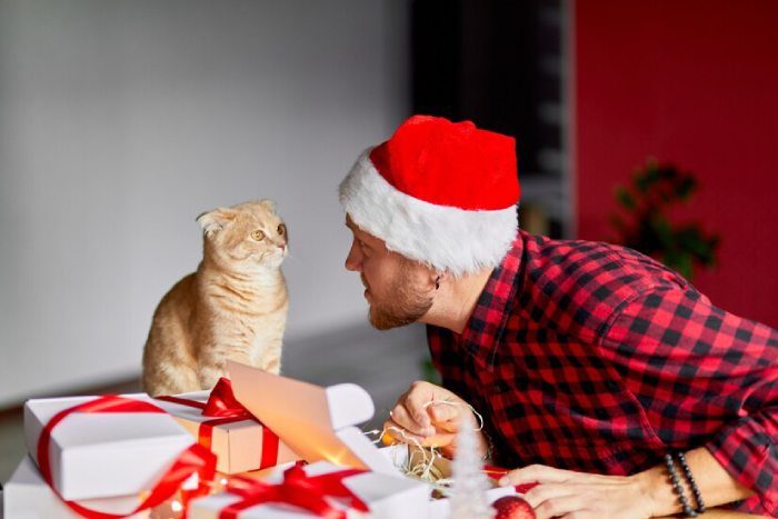 Tips to Choose the Perfect Christmas Gift for Cats