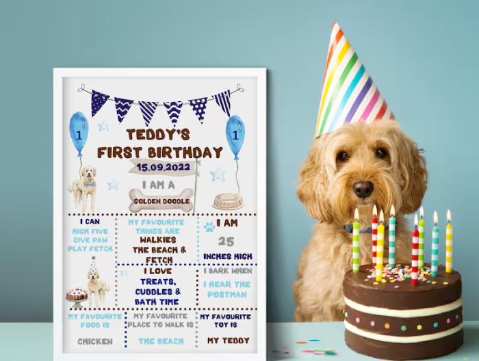 What to Notice when Choosing Dog Birthday Presents