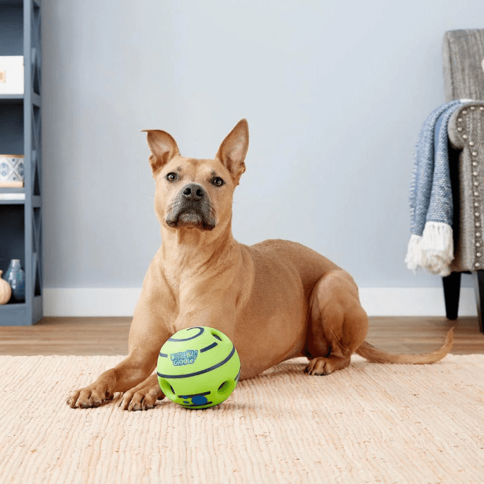 A Giggle Ball That Makes Goofy Noises Will Amuse Your Dog