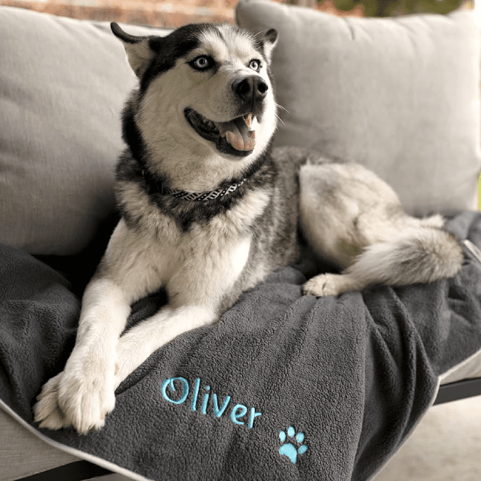 Keep Your Dog Warm And Cosy With An Embroidered Blanket