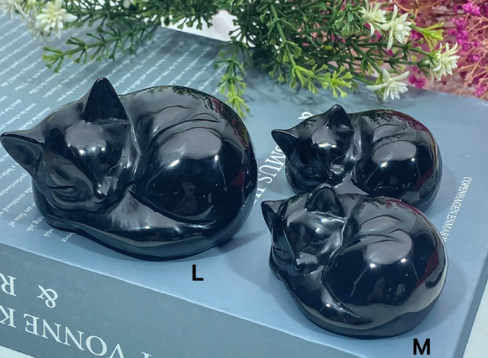 Cool Gift Ideas for Black Cats