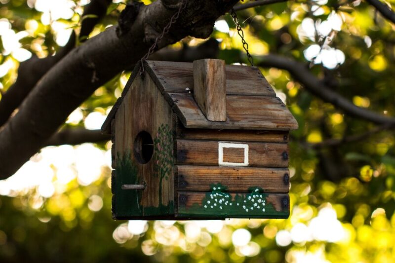 DIY birdhouse for grandad