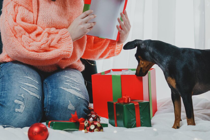 Tips for Choosing A Pet Christmas Present